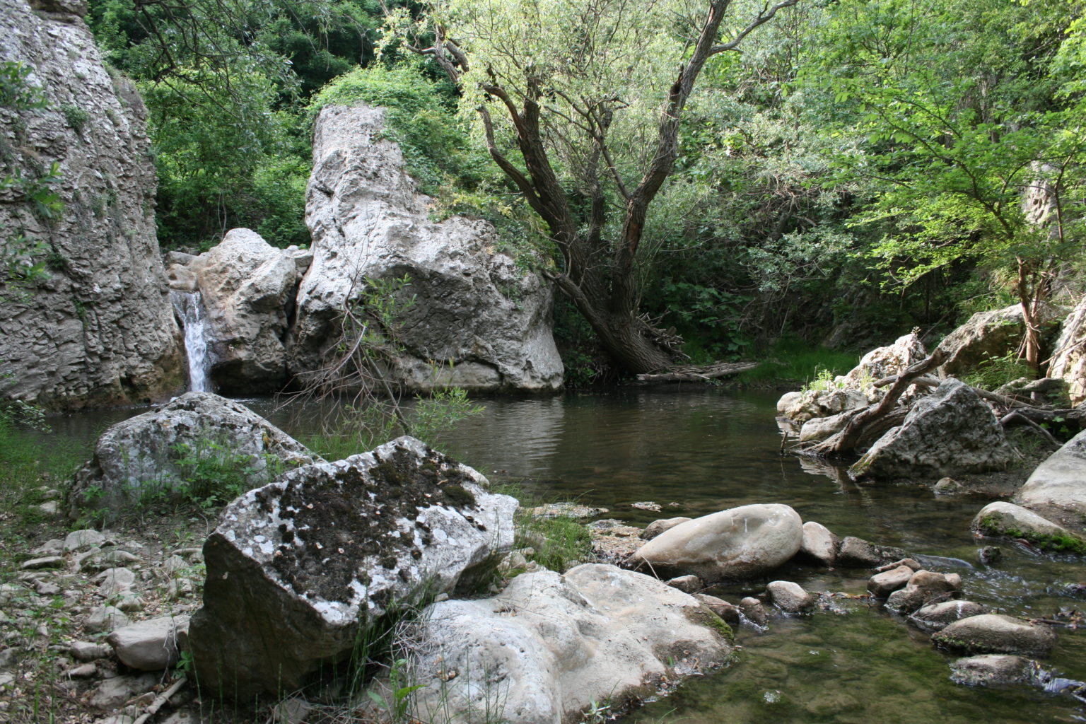 Itinerari nell'avampaese apulo Il vallo di