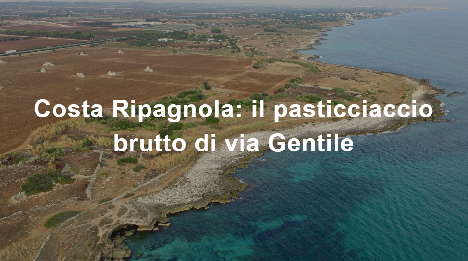 Scopri di più sull'articolo 