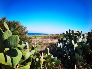 Scopri di più sull'articolo Costa Ripagnola: parola alla Corte Costituzionale?