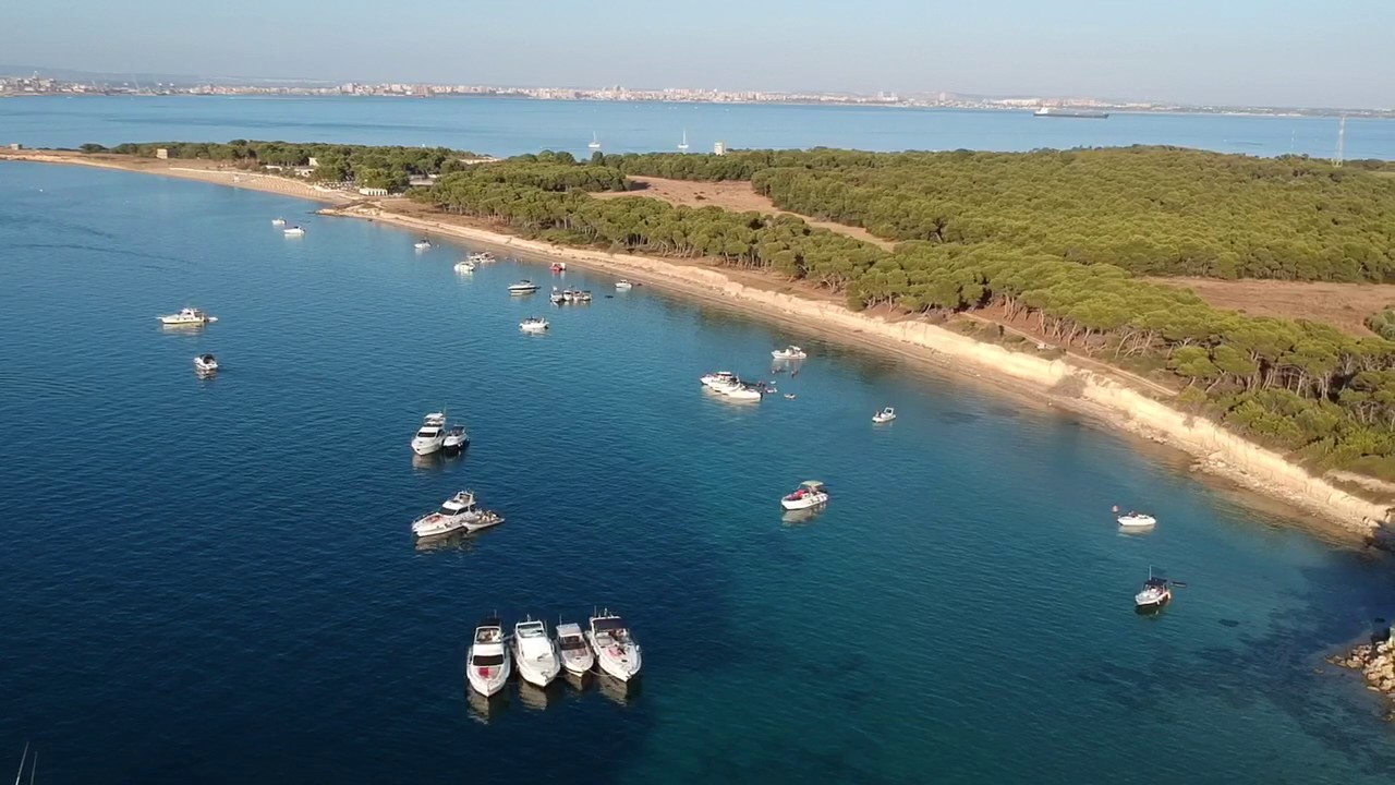 Scopri di più sull'articolo Rinnovabili: vento cinese a Taranto