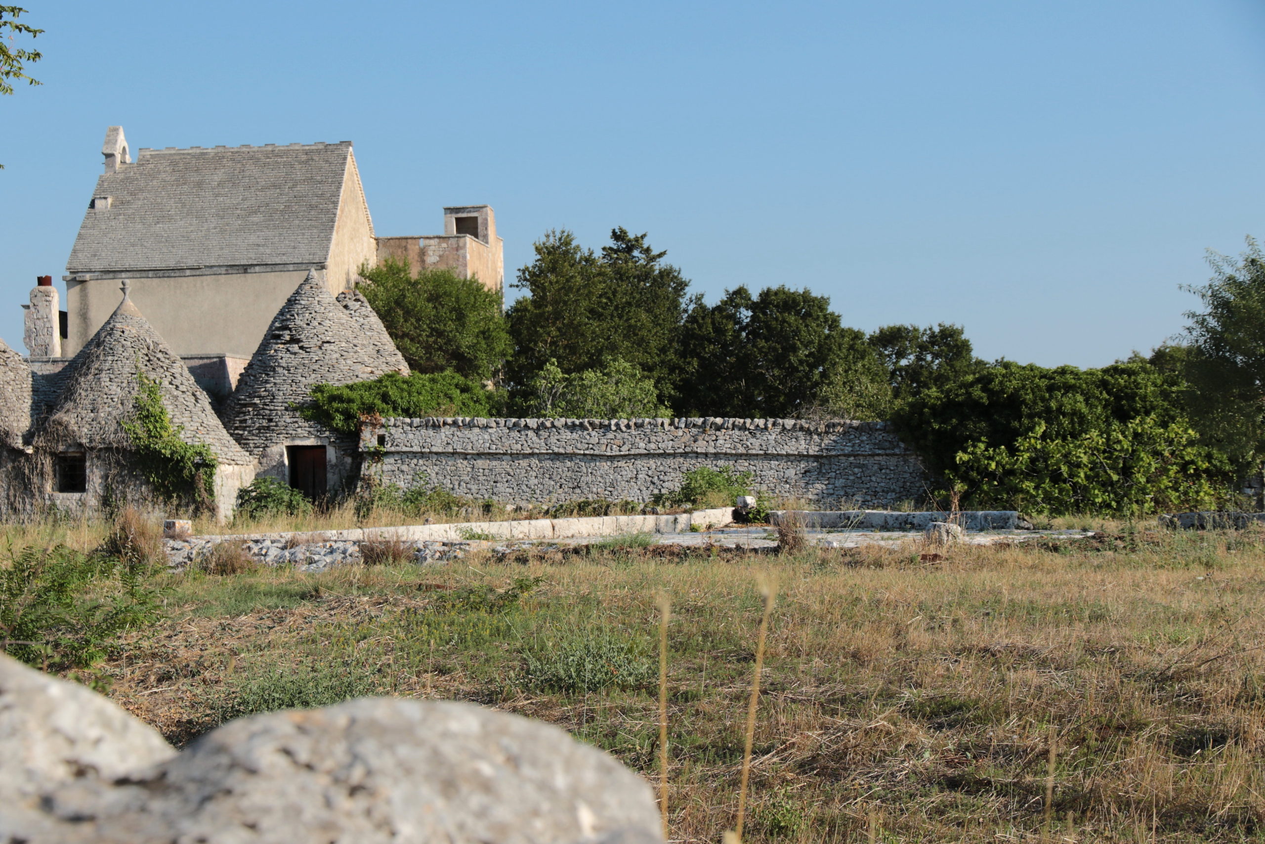 Scopri di più sull'articolo Turismo rurale fai da te