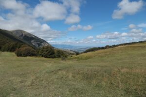 Scopri di più sull'articolo Foreste, l’ombra che ci manca
