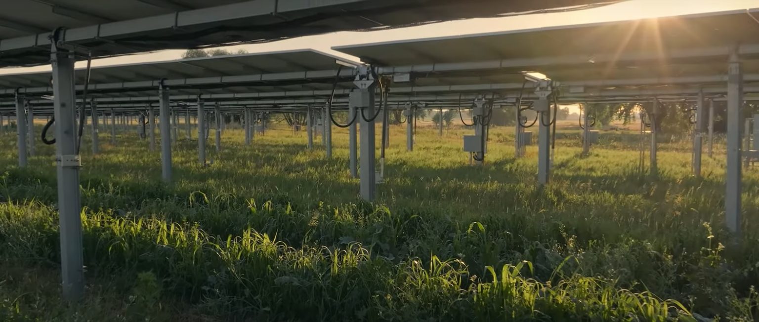 Scopri di più sull'articolo Agrivoltaico, tutele ambientali spuntate