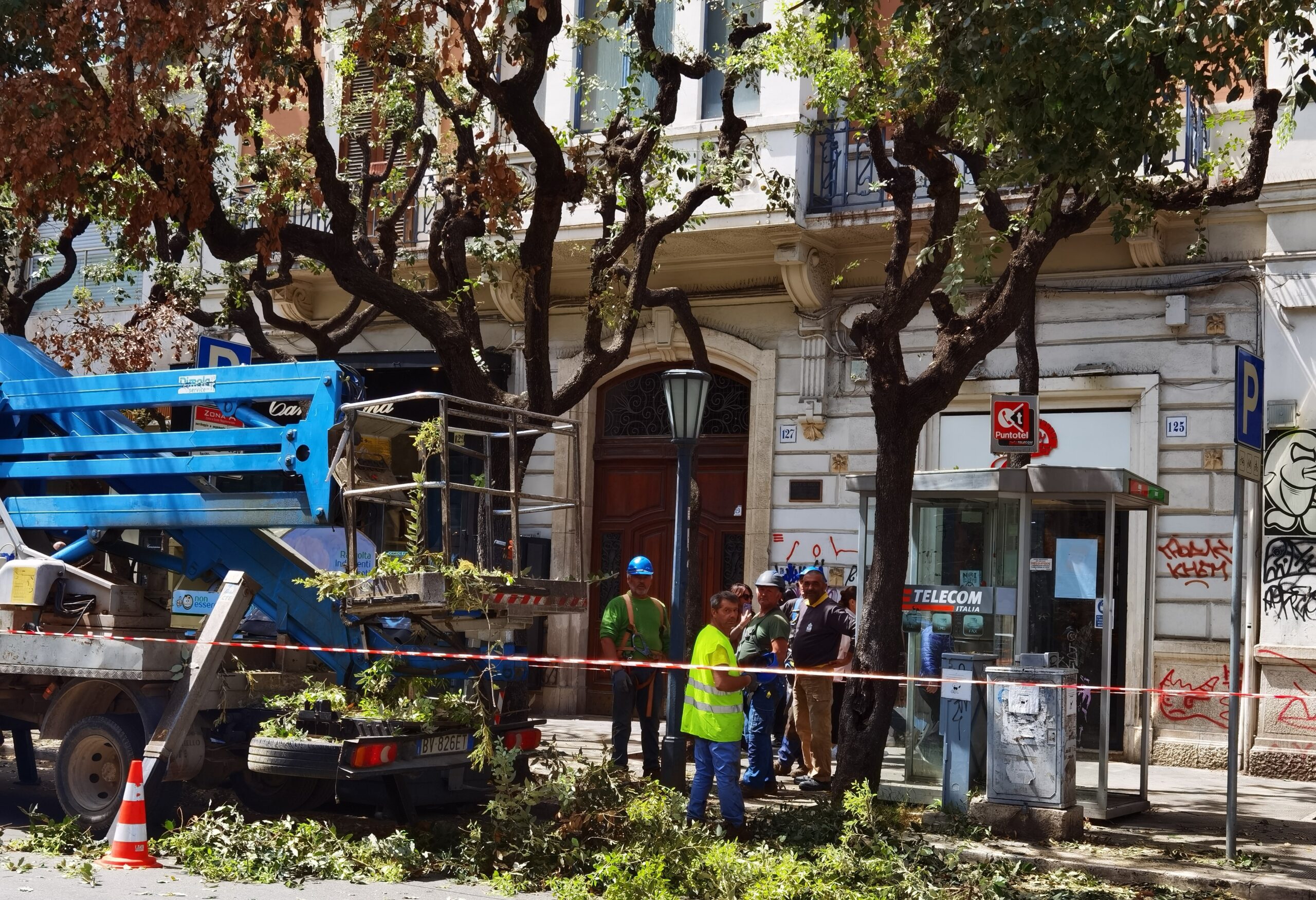 Scopri di più sull'articolo Bari, l’insostenibile gestione del verde urbano