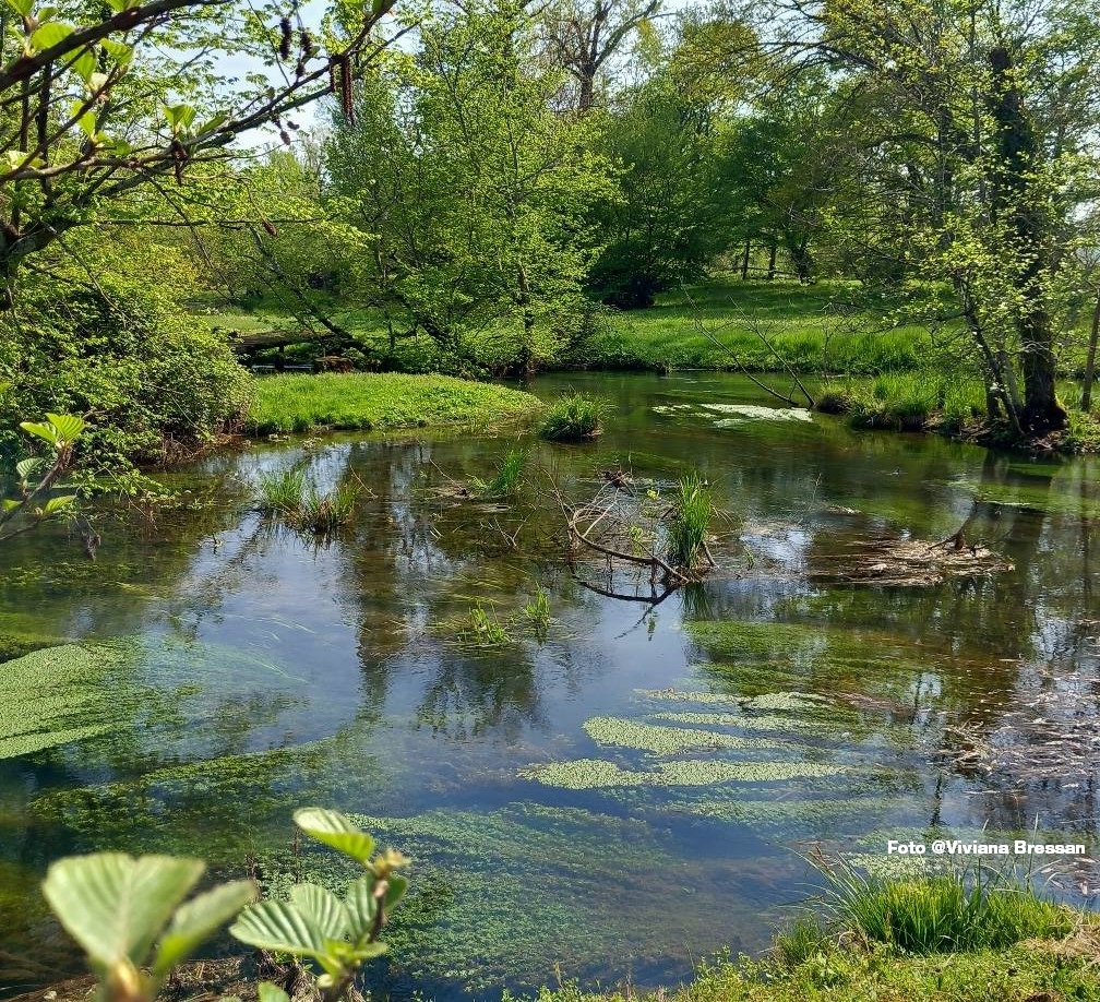 Scopri di più sull'articolo Natura 2000, l’interesse privato può coesistere con la tutela