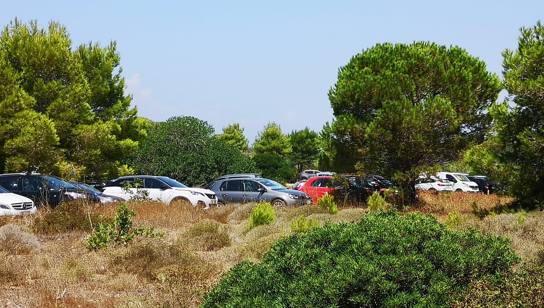 Scopri di più sull'articolo La legge sui parcheggi a mare – Ritenta sarai più fortunato