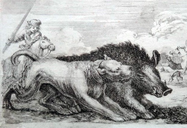 Scopri di più sull'articolo Cinghiali, il Sindaco non può fare lo sceriffo