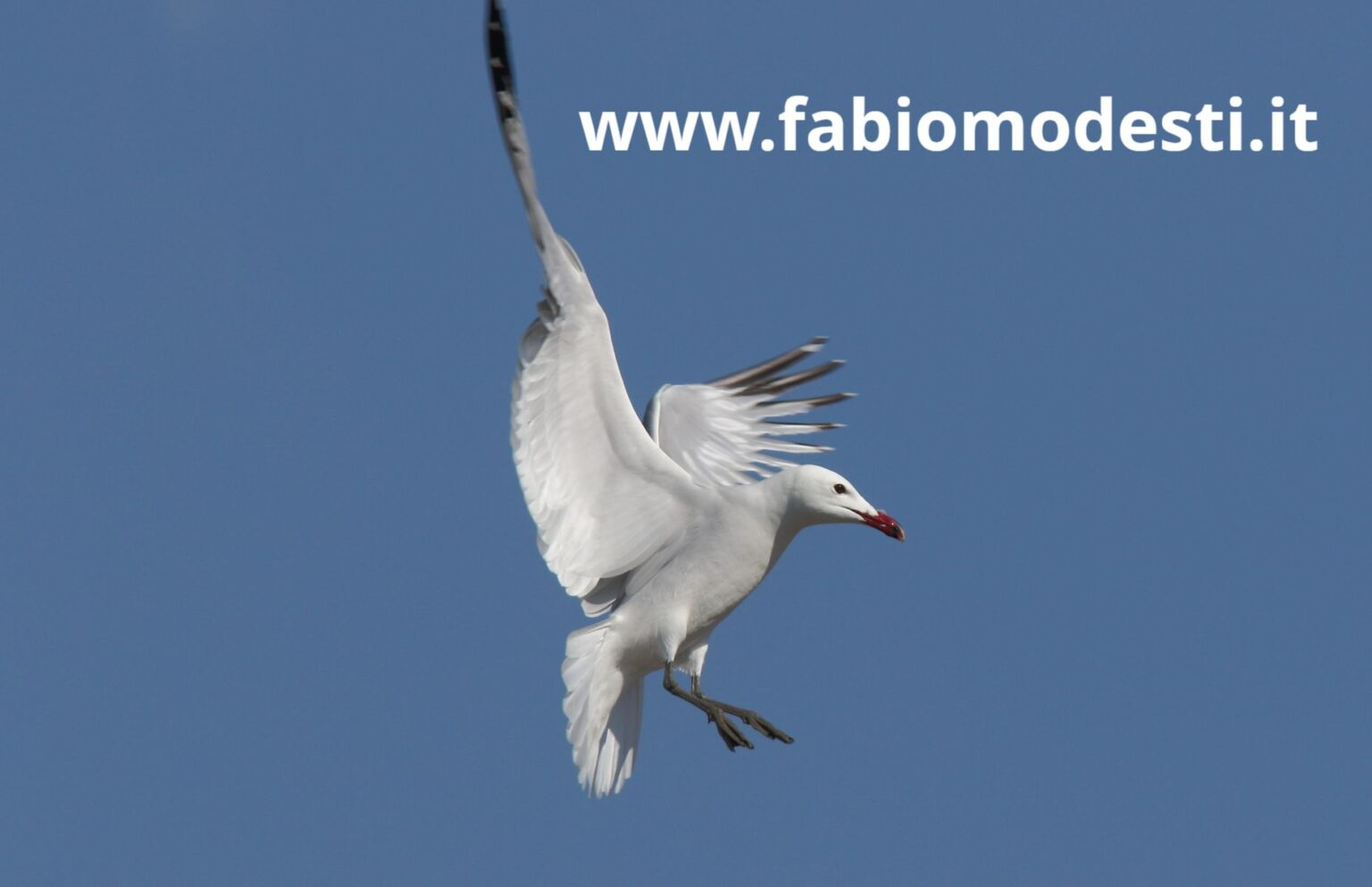 Scopri di più sull'articolo Gli articoli del blog più letti nel 2025