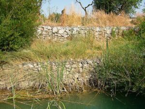 Scopri di più sull'articolo Regolamento “Restore nature”: zitti zitti, quatti quatti