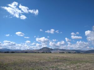 Scopri di più sull'articolo Paesaggio: il Tavoliere, Federico II e la tutela che manca