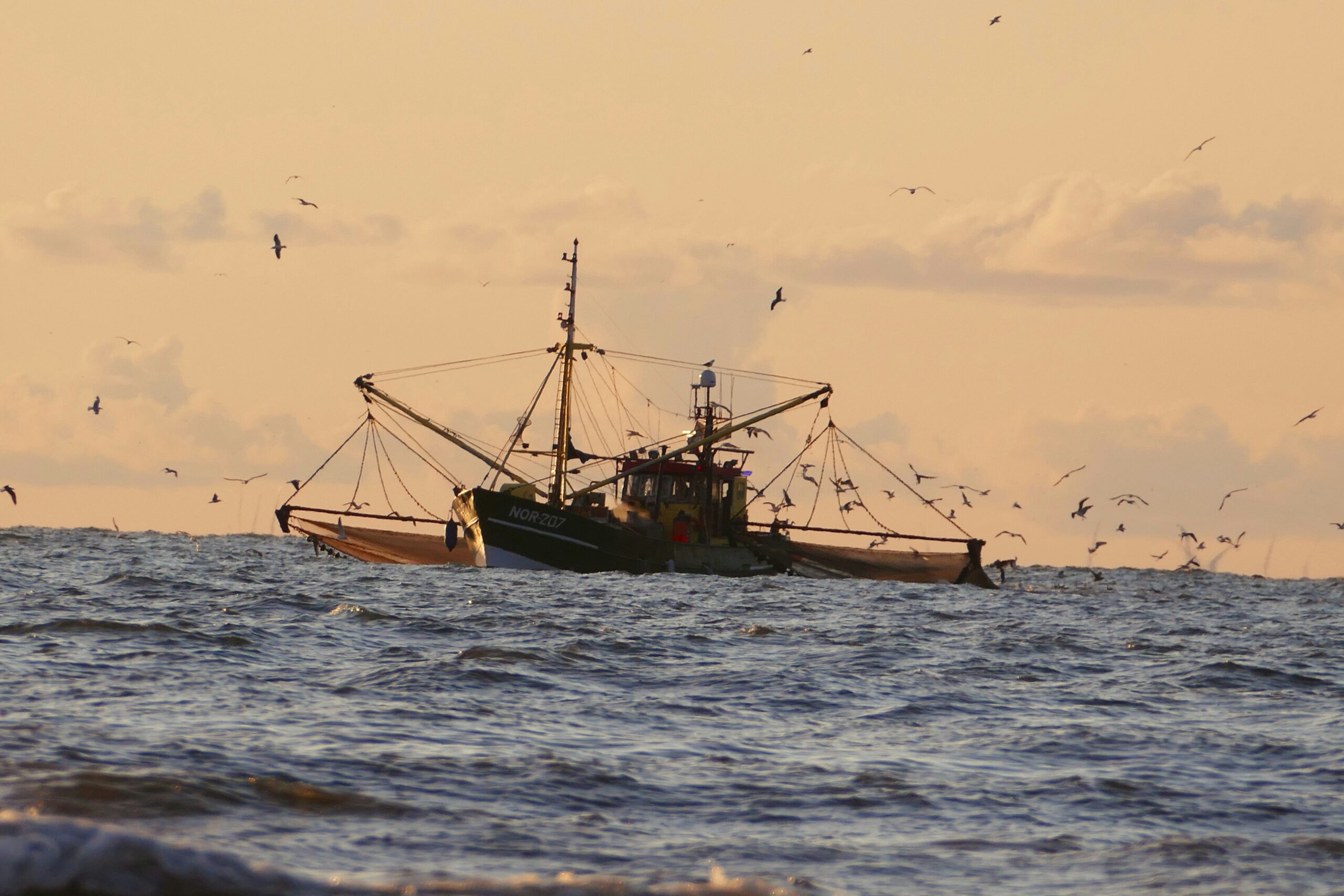 Scopri di più sull'articolo Pesca, Atlantico vietato agli attrezzi di fondo
