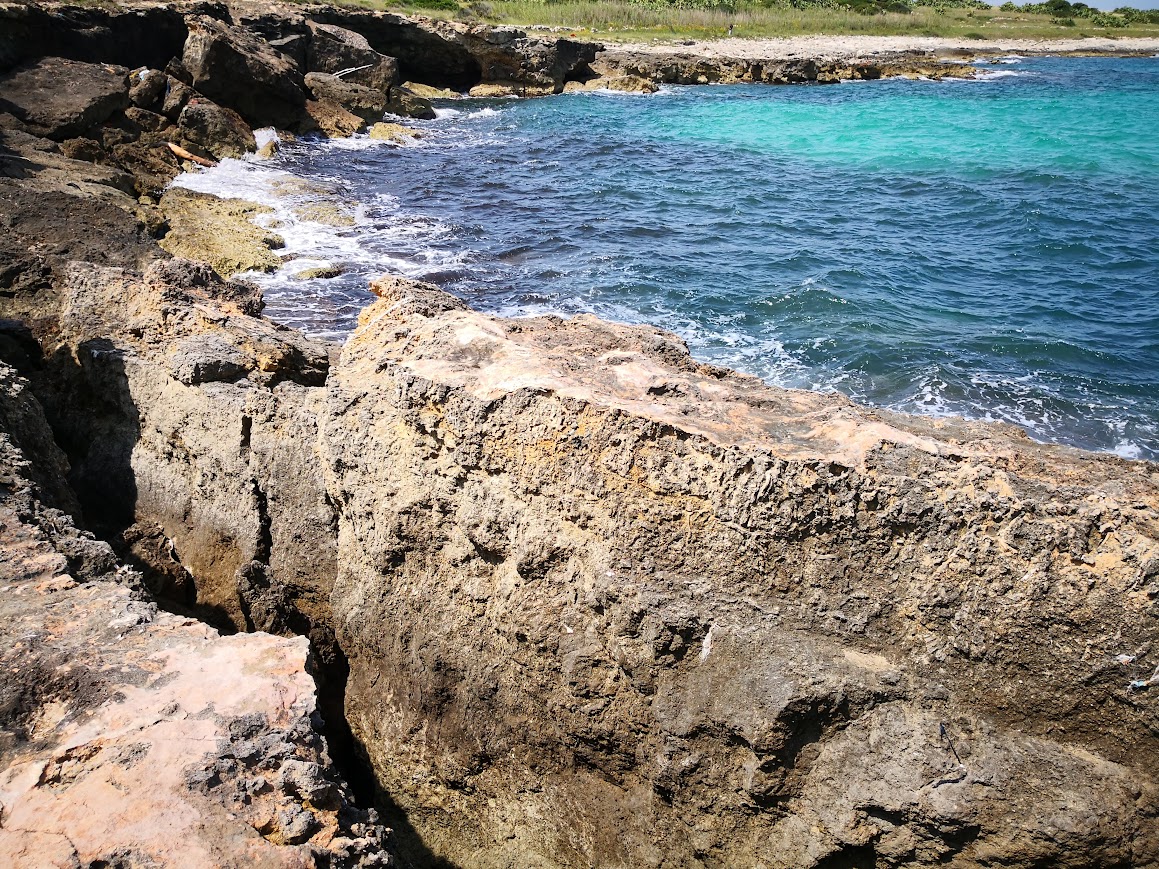 Scopri di più sull'articolo Costa Ripagnola: progetti, soldi e ricorsi