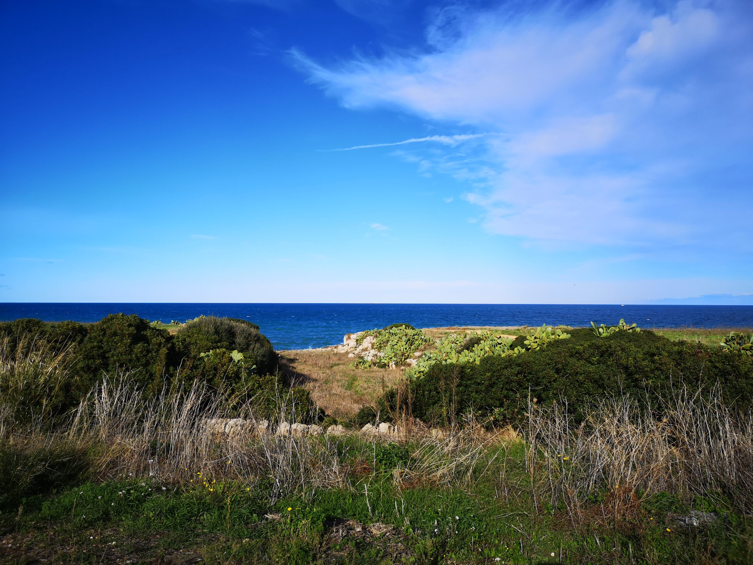 Al momento stai visualizzando Lembi di paesaggio da difendere – FENICOTTERI E TURISMO DI ÉLITE