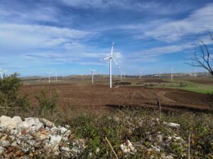 Scopri di più sull'articolo Eolico, la partecipazione dei cittadini comunque