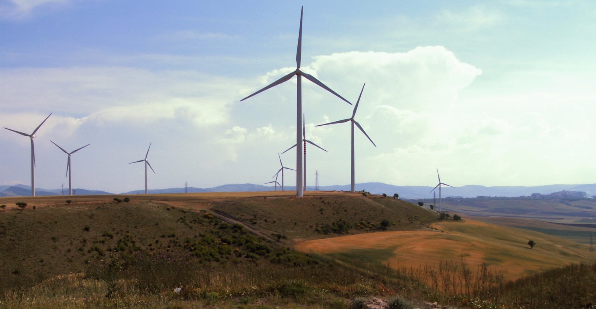 Al momento stai visualizzando Impianti eolici, aree idonee e tutela dell’avifauna