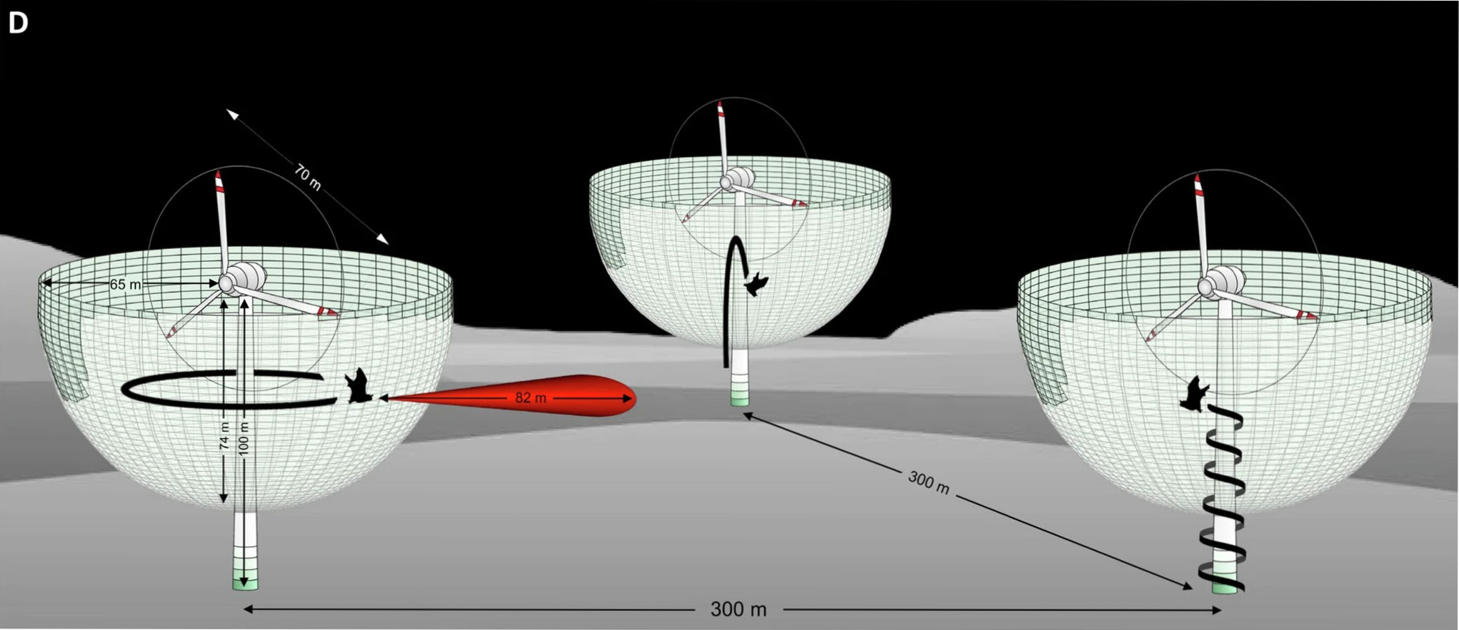 Scopri di più sull'articolo Impianti eolici, relazioni pericolose con i pipistrelli