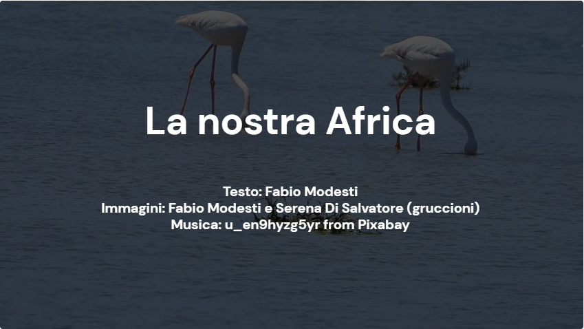 Scopri di più sull'articolo La nostra Africa