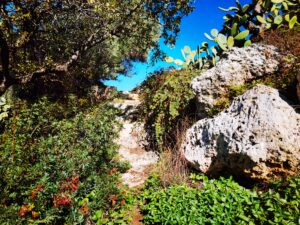 Scorcio di lama Ripagnola