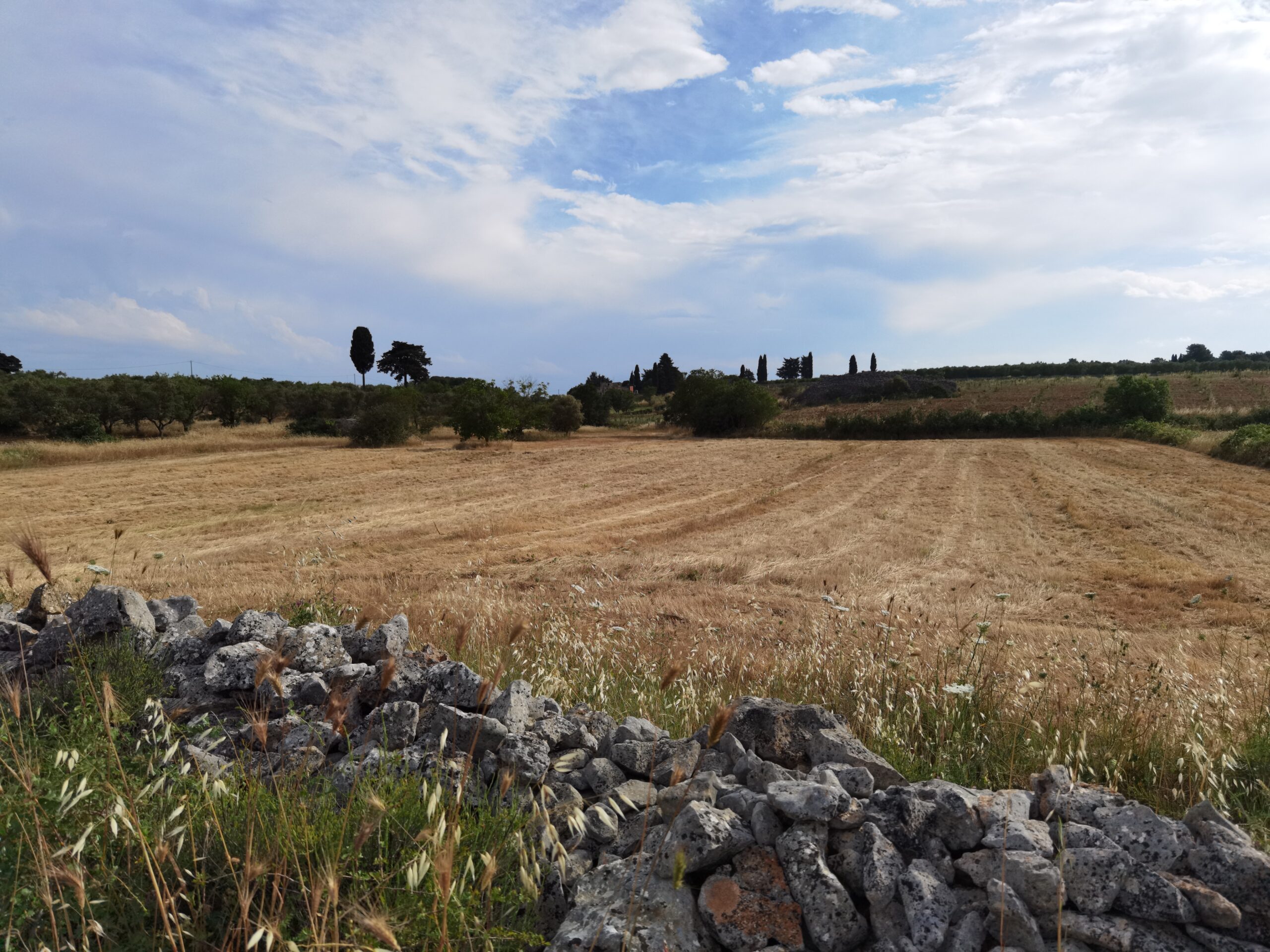 Scopri di più sull'articolo Uso infelice dei fondi disponibili – SPENDERE MEGLIO PER L’AMBIENTE
