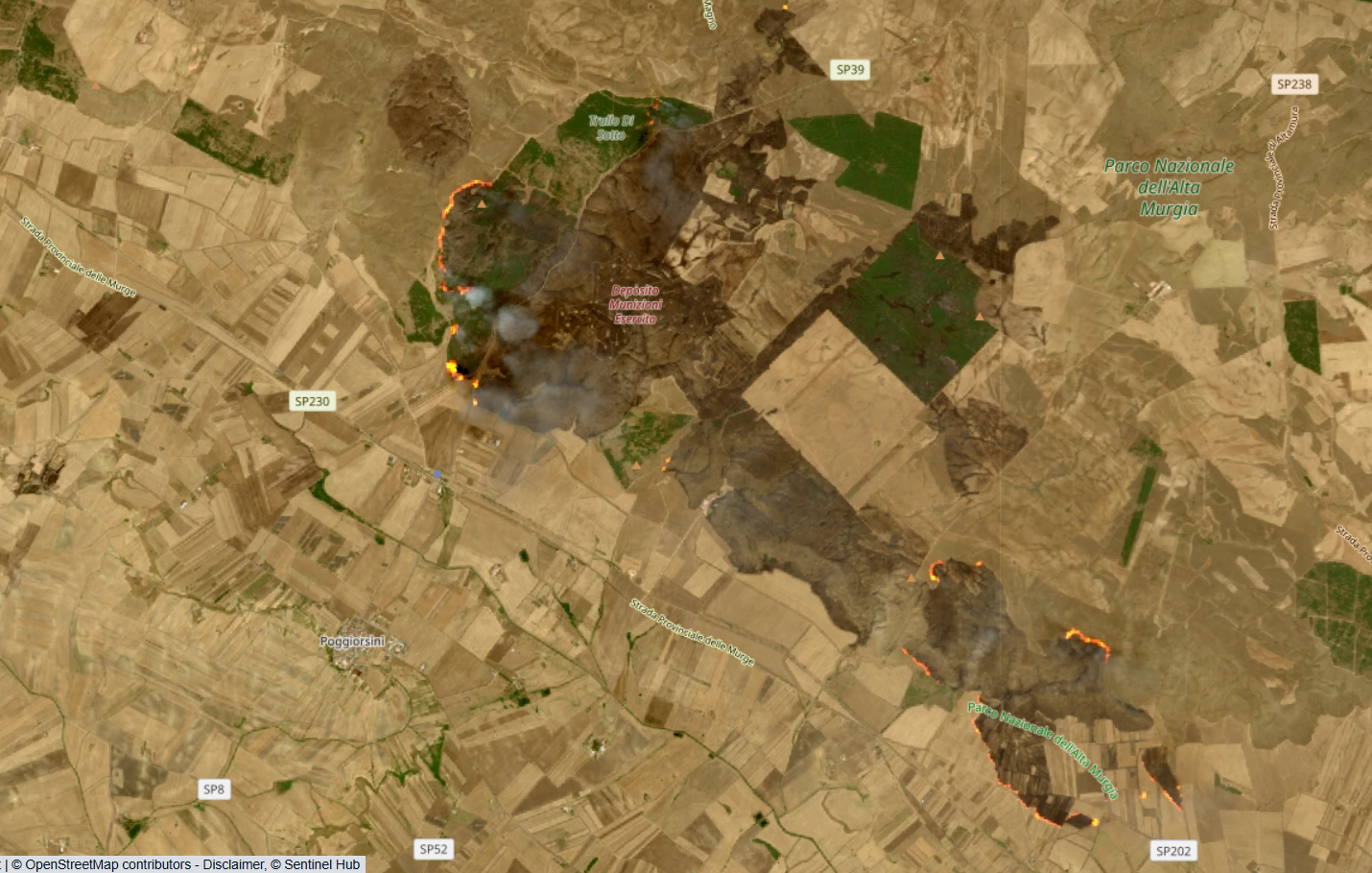 Al momento stai visualizzando Le risposte che mancano – LA PUGLIA BRUCIA, NORME INEFFICACI